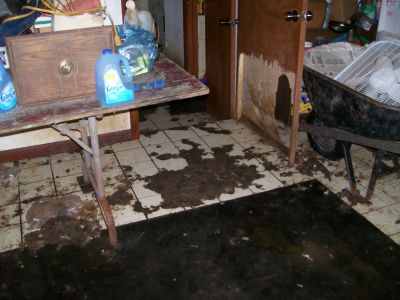 HH-0016
Photo Date: 6-11-2008
Photo Credit: Ginger Harrington, Hendricks County Health Department
Description: This home was a puppy mill.  There were 2 individuals living in the home along with approximately 35 dogs.  This floor is covered in feces.  You can see where the ceramic tile remains but the dark area is subfloor.  They have removed the carpet probably due to urine and feces.  Notice the dogs have created a door for themselves in the door.
