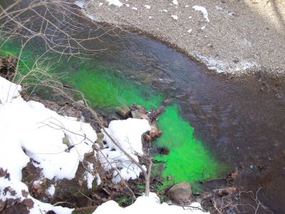 OWS-0009
Photo Date: 1/8/16
Photo Credit: Larry Crowder, Hendricks County Health Department
Description: Septic system discharges to a creek.  Dye was placed down the plumbing fixtures in the home.  The dye was observed discharging into the creek.

*2016 Photo Contest Winner for Wastewater category, submitted by Ginger Harrington
