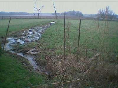 OWS-0012
Photo Date: 4-8-03
Photo Credit: Ginger Harrington, Hendricks County Health Department
Description: There was a small septic tank on this property which connected to a file tile.  The field tile had been damaged and the sewage was now discharging across the pasture.
