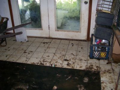 HH-0015
Photo Date: 6-11-2008
Photo Credit: Ginger Harrington, Hendricks County Health Department
Description: This home was a puppy mill.  There were 2 individuals living in the home along with approximately 35 dogs.  This floor is covered in feces.  You can see where the ceramic tile remains but the dark area is subfloor.  They have removed the carpet probably due to urine and feces.  
