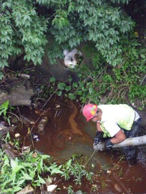 ER-0007
Photo Date: 8/28/2006
Photo Credit: Jason Ravenscroft
Description: Cleanup of fuel spill on water using a vacuum truck.
