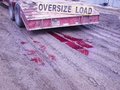 ER-0008
Photo Date: 2/2/2005
Photo Credit: Jason Ravenscroft
Description: Hydraulic  fluid leaking  from truck.

