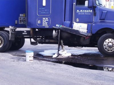 ER-0009
Photo Date: 6/13/2005
Photo Credit: Jason Ravenscroft
Description: Diesel fuel leak from a semi truck’s saddle tank after driving over a storm grate.

