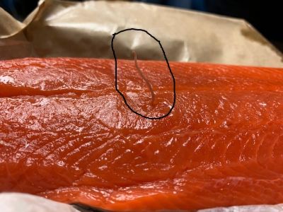 FS-0046A
Photo Date: July 29, 2019
Photo Credit: Adrianne Northcutt
Description: Received a report of a live worm on fresh salmon.  The individual brought the salmon in, the worm was alive and moving, and then decided to stand up straight for the pictures.  
