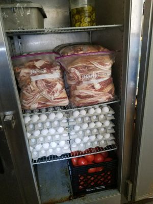 FS-0048
Photo Date: 5/29/2018
Photo Credit: Southern Chapter (Dubois)
This photo was taken on a routine inspection at a truck stop diner 410 IAC 7-24-173. We also had issues with when the bacon was packaged into the ziploc bags and where the bacon came from.
