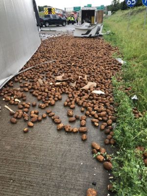 FS-0052
Photo Date: June 2019
Photo Credit: Kristol Ward
Description: Accident on I65NB/I70EB in Indianapolis. Semi lost control and overturned releasing his potatoes (and diesel and engine fluids) into the environment.
