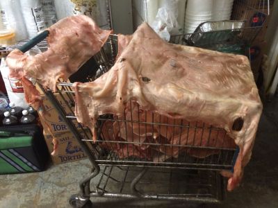 FS-0027
Photo Date: 11-30-2016
Photo Credit: Melissa Papp
Description: Pig skins, draped over a grocery cart, in the storage room drying in the ambient air.  Skins use to make Chicharrones. Establishment staff reported it took 2-4 days to dry the skins.

*2017 Photo Contest Winner for Foods category
