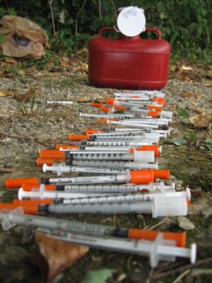 HS-0003
Photo Date: 8-28-2017
Photo Credit: Ryan Kasper-Cushman
Description: Opioid addiction in Monroe County.  Needle collection site at a cemetery uncovered 40 syringes.
