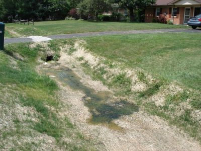 OWS-0002
Photo Date: 8/15/2008
Photo Credit: Jason Ravenscroft
Description: Discharge to drainage ditch from gutter downspouts.  Homeowner ran the piping through the septic absorption field and the discharge from the downspouts was picking up septic effluent resulting in a high E.coli count in the drainage water.

