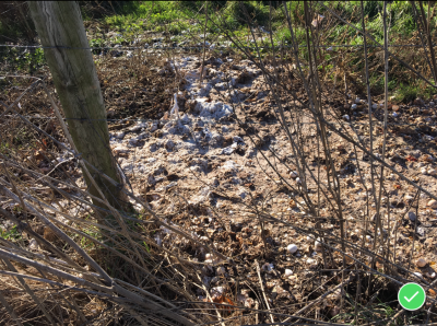 OWS-0037A
Photo Date: October 2018
Photo Credit: Jessica Bergdall   ACHD
Description:  Sanitary Vault Privy contents dumped on surface of ground

