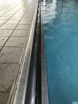 POOL-0030
Photo Date:	May 24, 2018
Photo Credit:	Jason Ravenscroft
Description:	Pool with gutter system.
