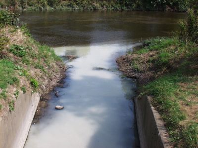 SW-0001
Photo Date: 10/2/2002
Photo Credit: Jason Ravenscroft
Description: Unknown discharge from a storm sewer outfall.

