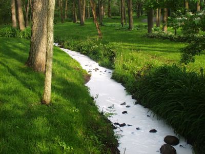 SW-0003
Photo Date: 5/9/2003
Photo Credit: Jason Ravenscroft
Description: Creek discolored due to run off from a spill on a nearby interstate.

