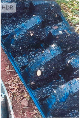 WW-0008
Photo Date: May 9, 2018
Photo Credit: Angie Brown
Description: Filter from a septic system that was 2 years old. Water softener was regenerating 4 times a day! Too much salt!
