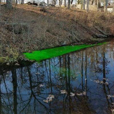 WW-0009
Photo Date:	11-29-2017
Photo Credit:	Alicia van Ee
Description:	Green trace dye flush in the toilet and bathtub of a lake cottage. The test came back conclusive within 15 minutes. 
