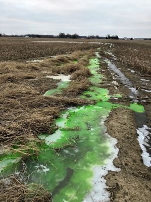 WW-0014
Photo Date: 2/16/2019
Photo Credit: Nathan Scherer
Description:Dye Test Performed and discharging Septic System

**2019 IEHA Photo Contest Winner for Wastewater Category**
