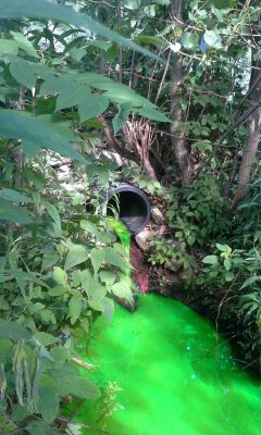 WW-0006
Photo Date: July 2, 2015
Photo Credit: Putnam County Health Department
Description: Dye coming from outlet pipe into pond.
